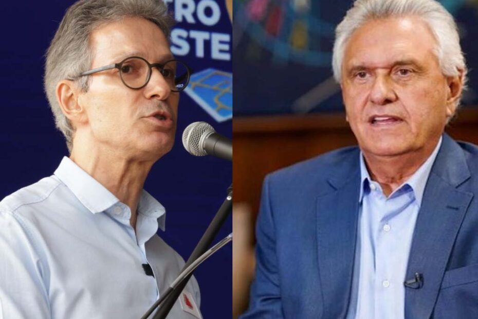 zema caiado