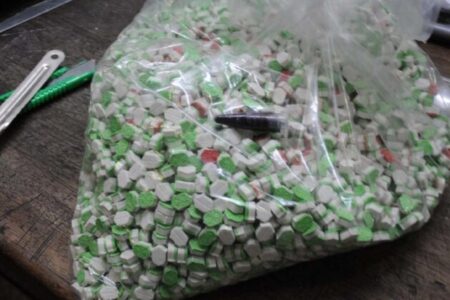 TJSC condena mulher a 12 anos de prisão por ‘indústria’ de ecstasy em Palhoça