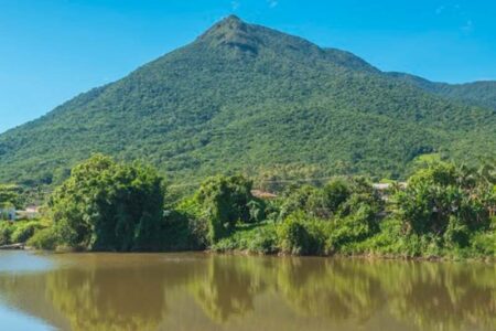 Confira a promação completa do Junho Verde em Palhoça