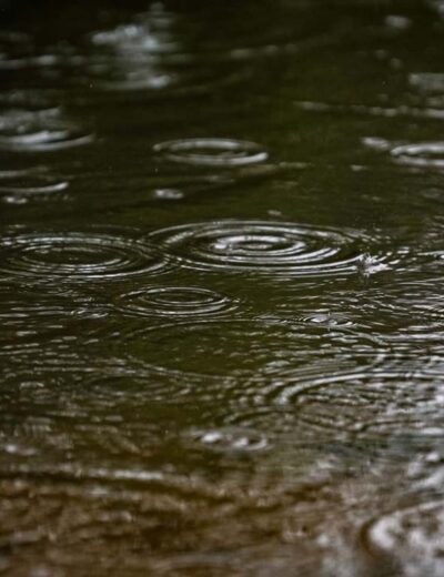 Vinte e quatro cidades catarinenses registram mais de 100 mm de chuva em apenas um dia