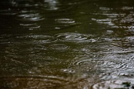 Vinte e quatro cidades catarinenses registram mais de 100 mm de chuva em apenas um dia