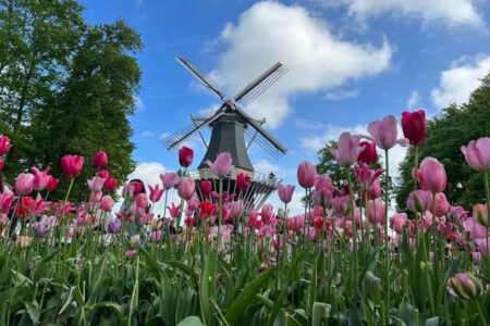 Tulipas: cruzeiro fluvial faz roteiro de charme pela Holanda e Bélgica