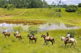 5 tradições da Serra Catarinense que fazem parte da rotina de uma fazenda