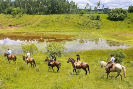 5 tradições da Serra Catarinense que fazem parte da rotina de uma fazenda