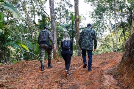 Operação autua mais de 380 hectares de desmatamento ilegal em SC