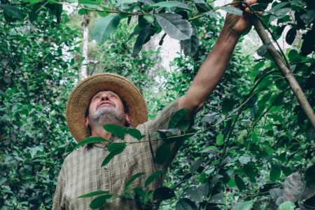 A fotografia como lugar da memória
