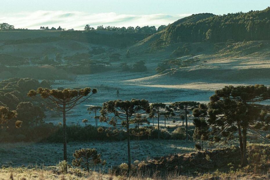 frio santa catarina hojesc