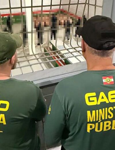 Operação cumpre 39 ordens judiciais em Chapecó, Xanxerê e Caxambu do Sul