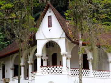 Nova exposição celebra os 50 anos do Museu de Arte de Joinville