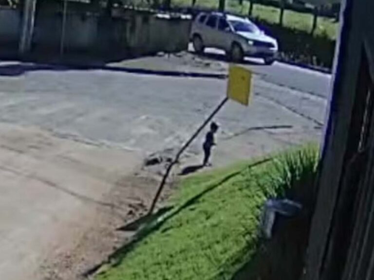 Vídeo: bebê de 1 ano e 6 meses foge de creche e vai sozinho até trabalho da mãe em SC