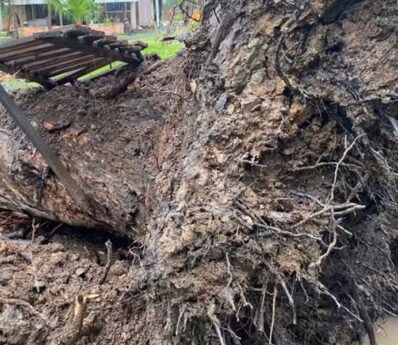 Tornado arranca árvores pela raiz e destelha casas em Três Barras, no Norte de Santa Catarina