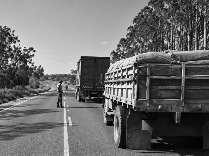rodovia do café