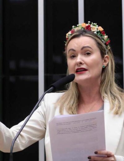 Eleições 2026: veja quais foram os deputados federais eleitos em SC; Julia Zanatta é a mais votada