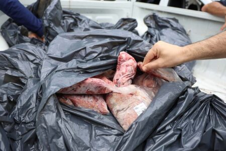 Florianópolis: Ação apreende 170 quilos de alimentos de origem animal irregulares em açougue