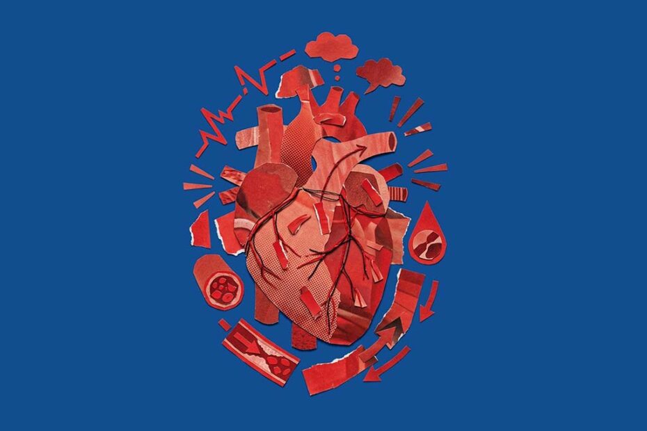 cardiovascular doencas brasil hojepr